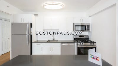 West End Apartment for rent Studio 1 Bath Boston - $2,835