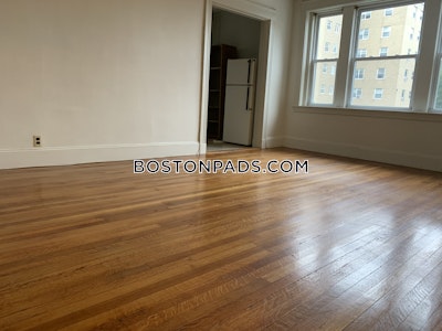 Brighton Apartment for rent Studio 1 Bath Boston - $2,100 No Fee