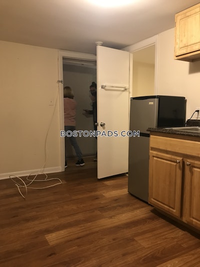 Jamaica Plain Apartment for rent Studio 1 Bath Boston - $1,725