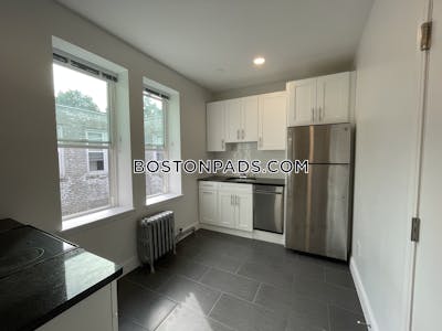 Brighton Apartment for rent 1 Bedroom 1 Bath Boston - $2,750 No Fee