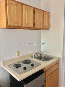 Brookline Apartment for rent Studio 1 Bath  Longwood Area - $1,795 No Fee