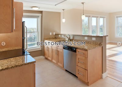 Cambridge Apartment for rent 1 Bedroom 1 Bath  Mt. Auburn/brattle/ Fresh Pond - $3,250 No Fee