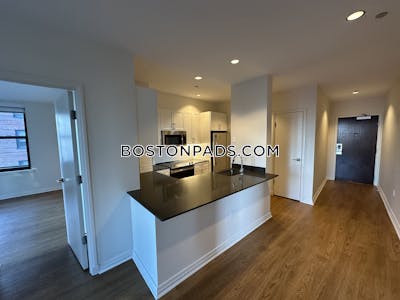 Downtown Apartment for rent 2 Bedrooms 2 Baths Boston - $5,037