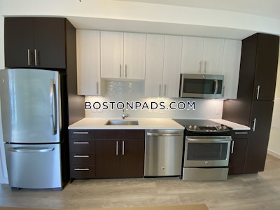 West End Apartment for rent 2 Bedrooms 2 Baths Boston - $5,499