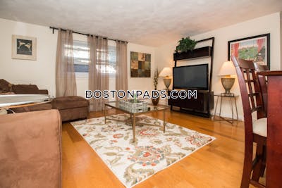 Brookline Nice 1 Bed 1 Bath available 5/18/23 on Chestnut St. in Brookline   Brookline Hills - $4,300