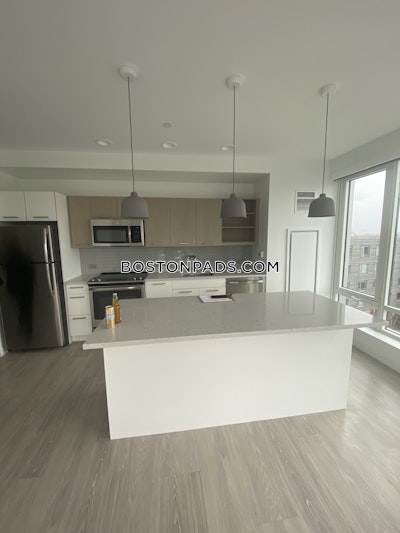 Brighton Apartment for rent 1 Bedroom 1 Bath Boston - $3,615 No Fee
