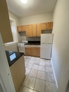 Allston Apartment for rent 1 Bedroom 1 Bath Boston - $3,000